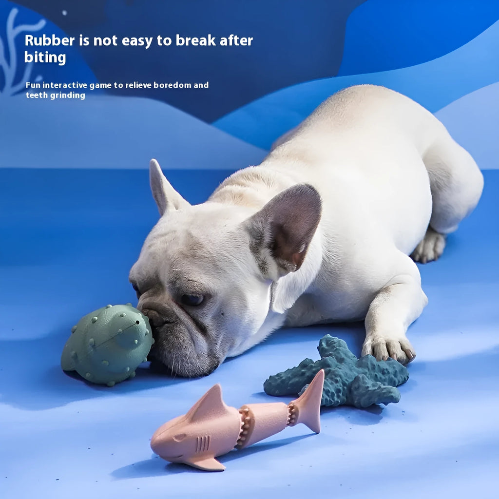 Blue rubber shark dog chew toy for aggressive chewing.