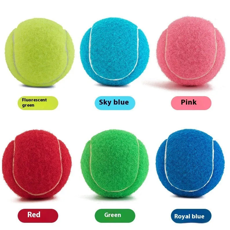 Rubber dog tennis ball in assorted bright colours with 6.3cm diameter for bite-resistant fetch play