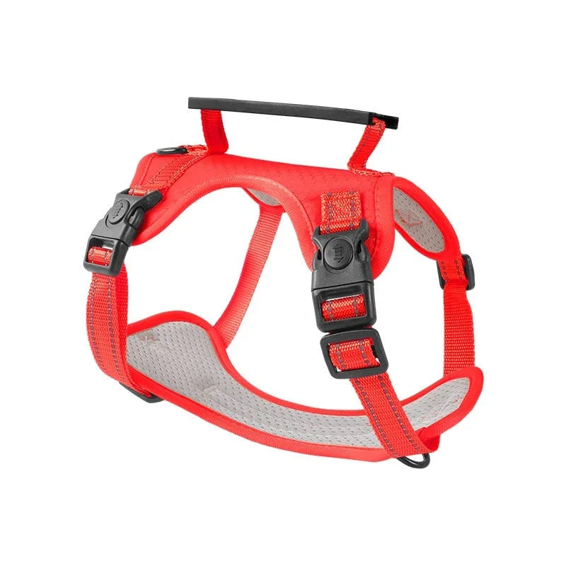 Adjustable polyester dog chest harness and lead in one of six colours: black, yellow, red, orange, pink, or Lake Blue.