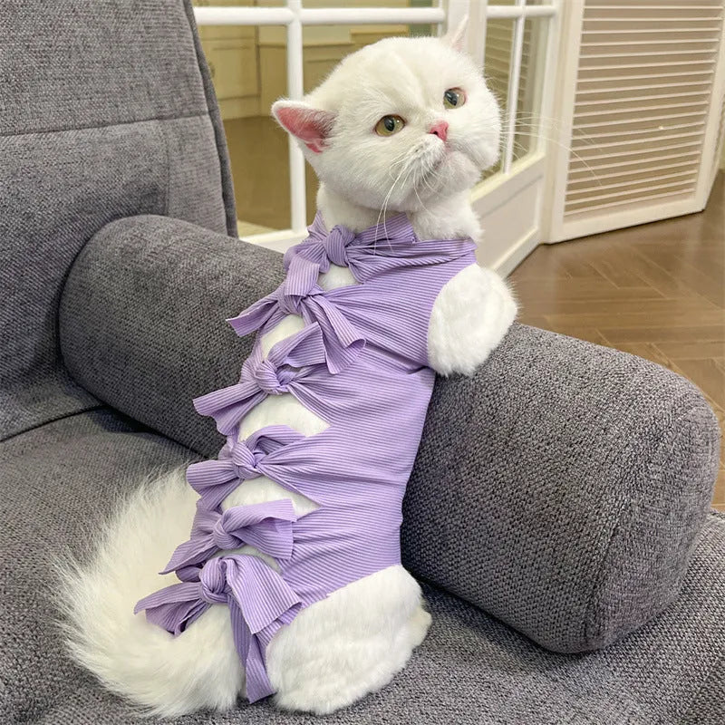Cat wearing pink sterilisation recovery clothing with lace-up closure after surgery