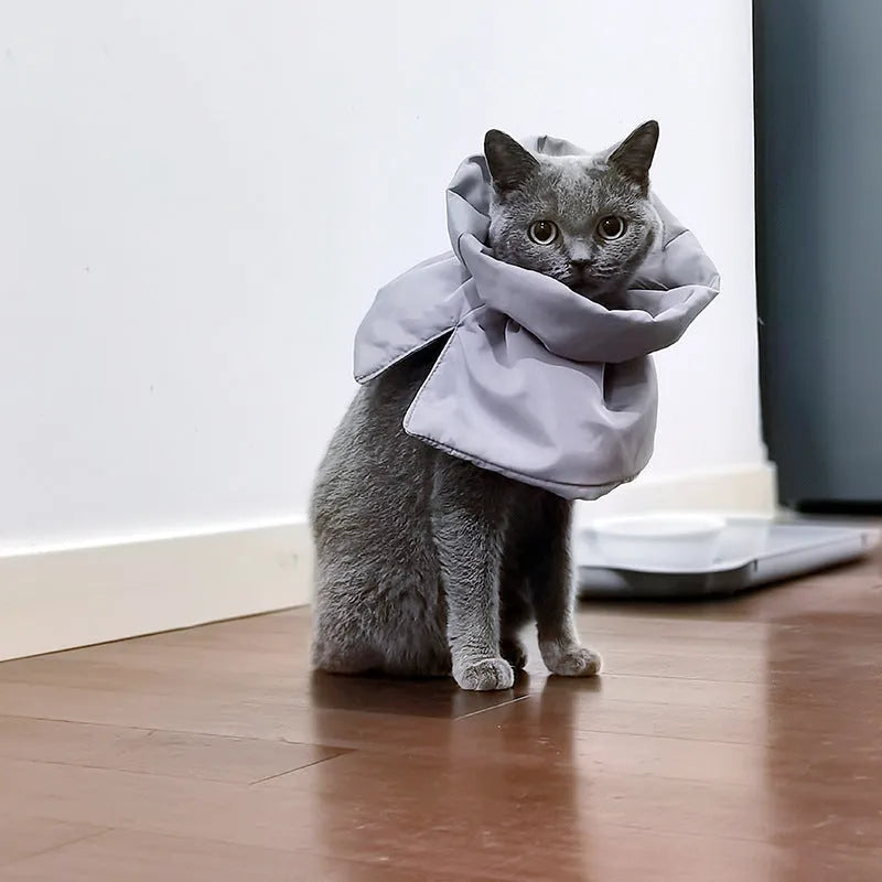 Soft blue adjustable Elizabethan recovery collar for a cat on a plain background.