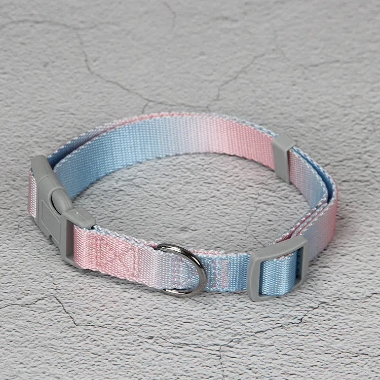 Gradient colour dog leash set showing pink and blue nylon collar and chest strap harness options