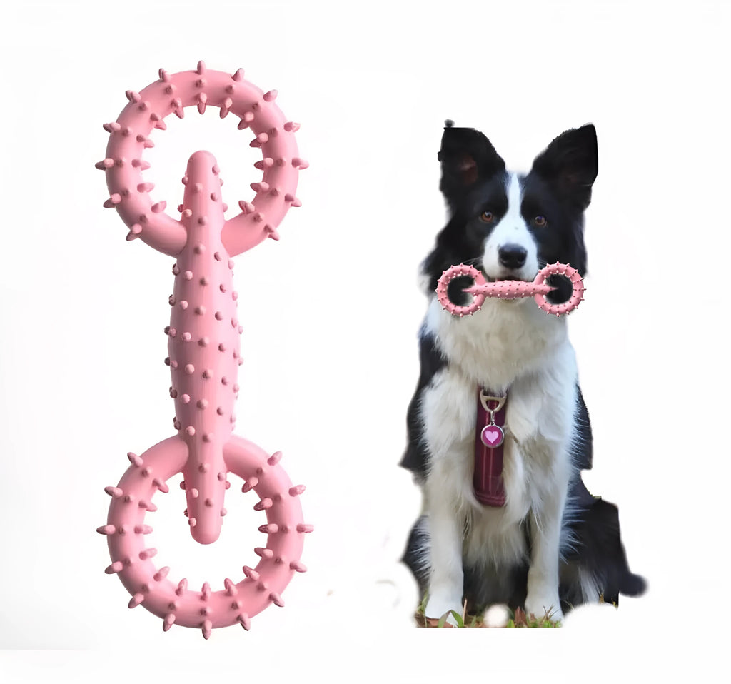 Blue TPR dog chew toy ring on a white background, showing its 16cm diameter and thick ring shape.