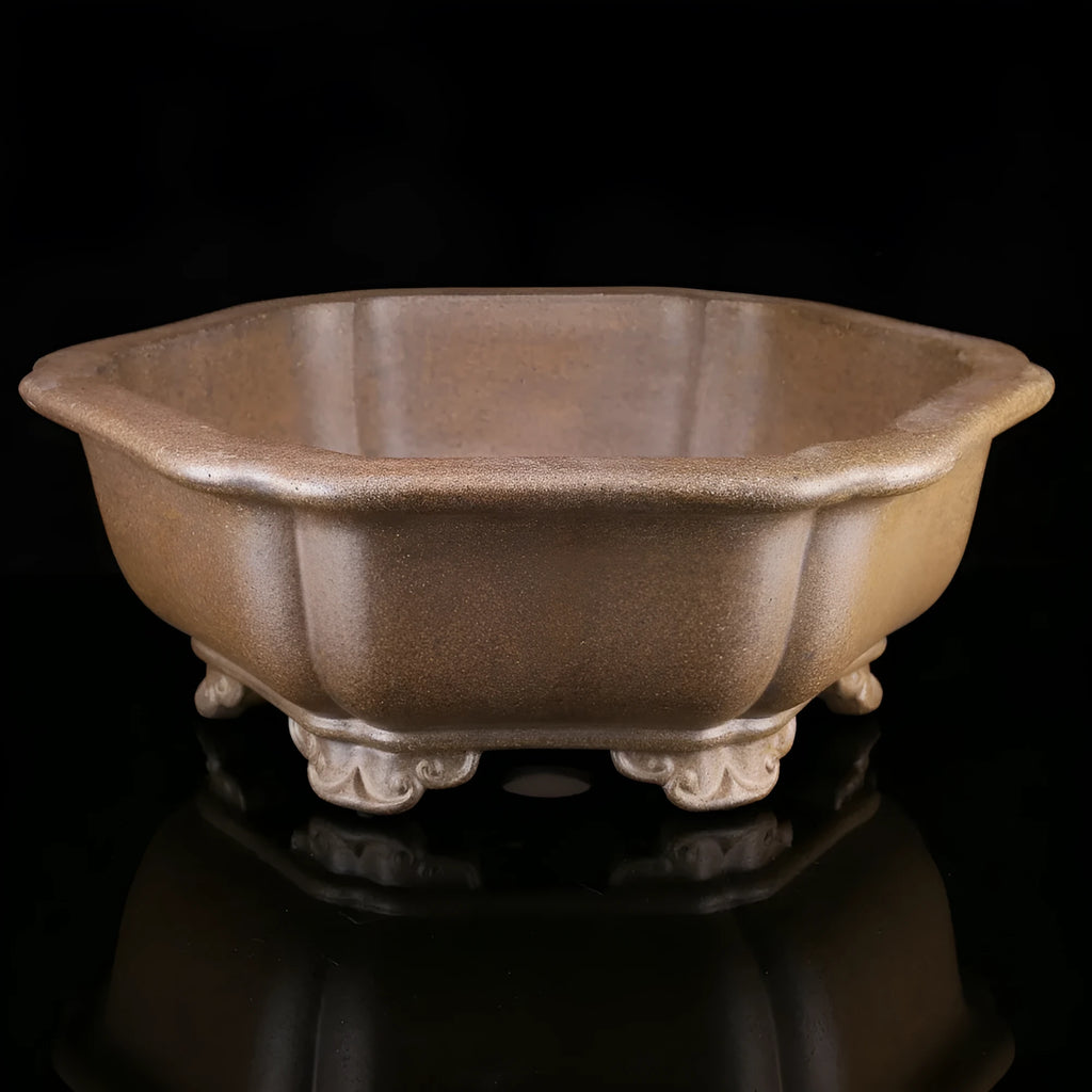 Large handmade purple clay hexagon plant pot for tea cultivation