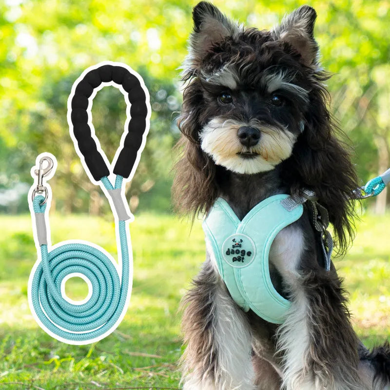 Dog wearing blue vest with attached hand holding rope leash for walking control