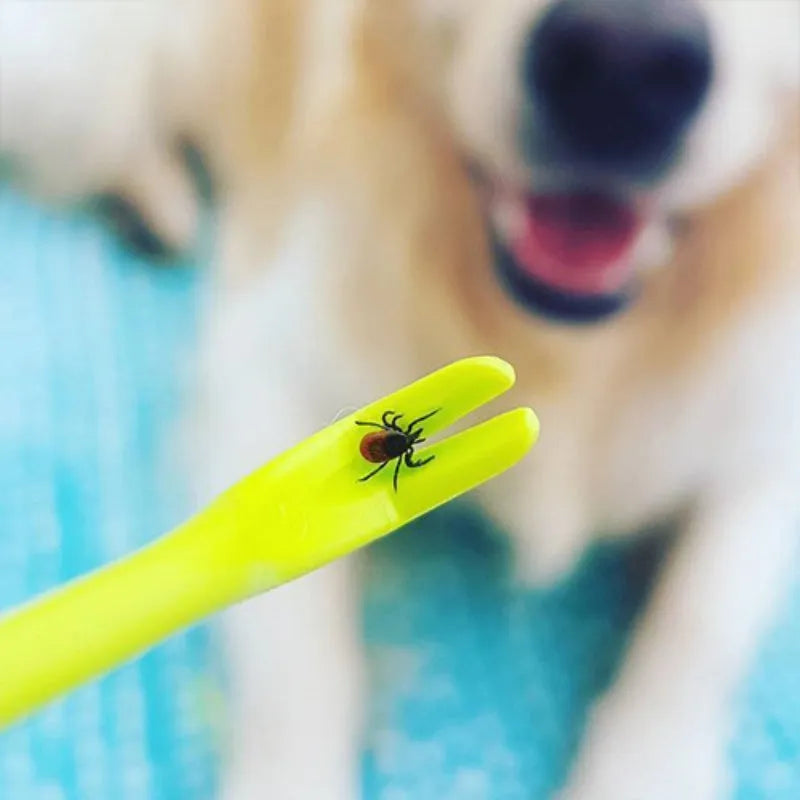 Three plastic tick removal tools with hook design for pet grooming and flea extraction