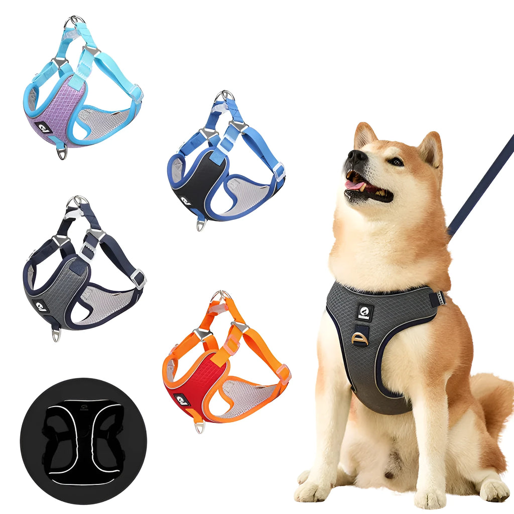 Adjustable breathable mesh dog harness with reflective trim in multiple colour options