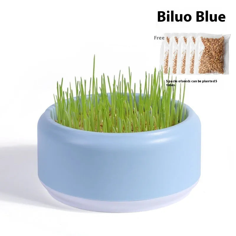 Hydroponic cat grass growing kit with choice of blue, green or yellow starter cups and five seed packs