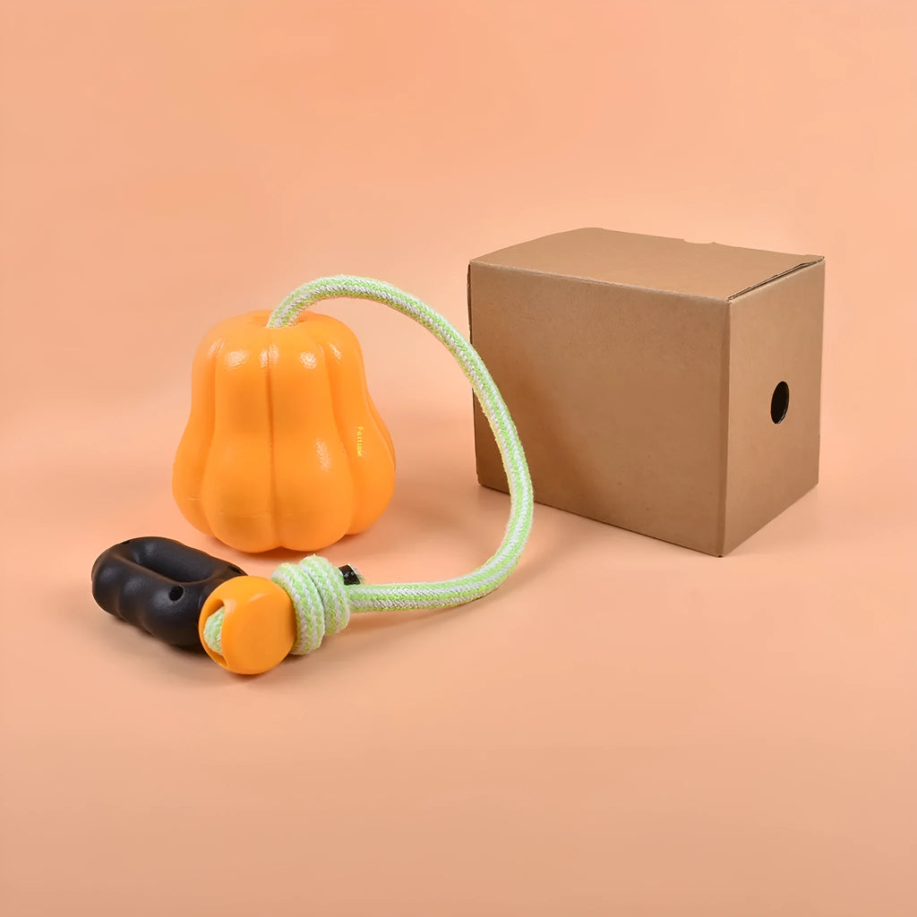Orange plastic pumpkin dog toy with attached rope for outdoor fetch games