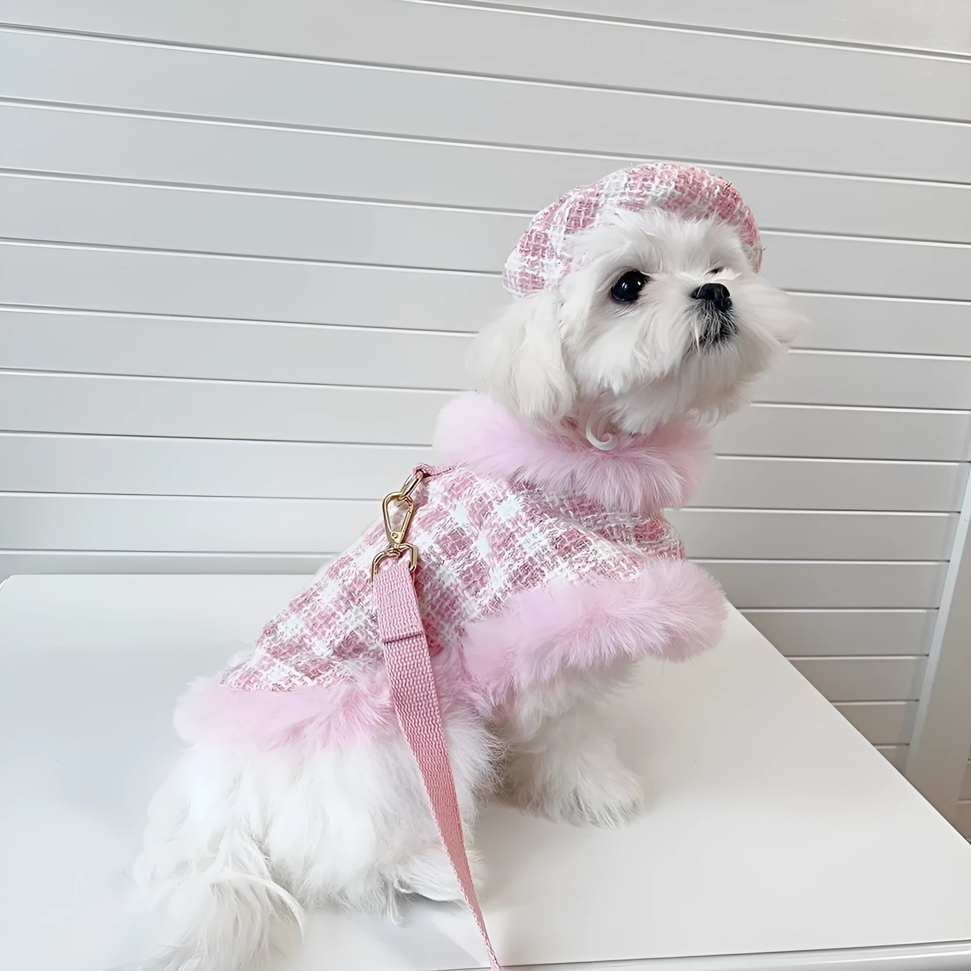Pink cat costume set with beret, cape and rope in polyester fabric