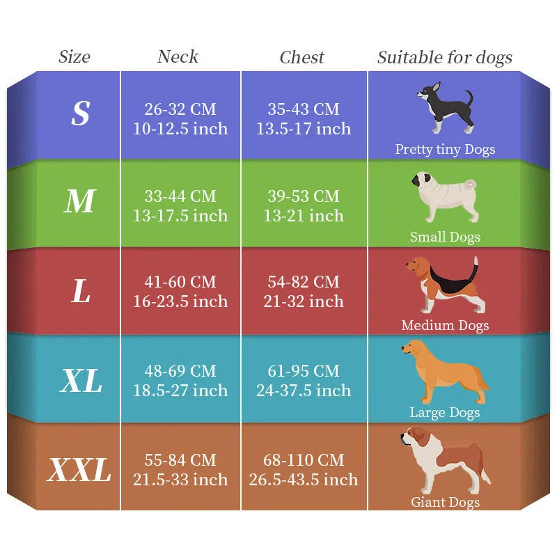 USB-rechargeable luminous dog lead showing seven colour-changing modes on nylon strap