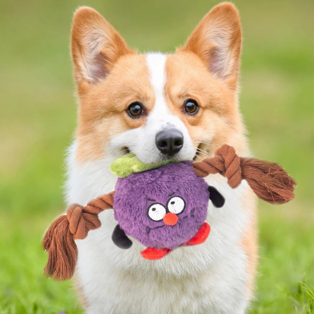 Green interactive dog toy with plush rope knot and white molar tooth chew element