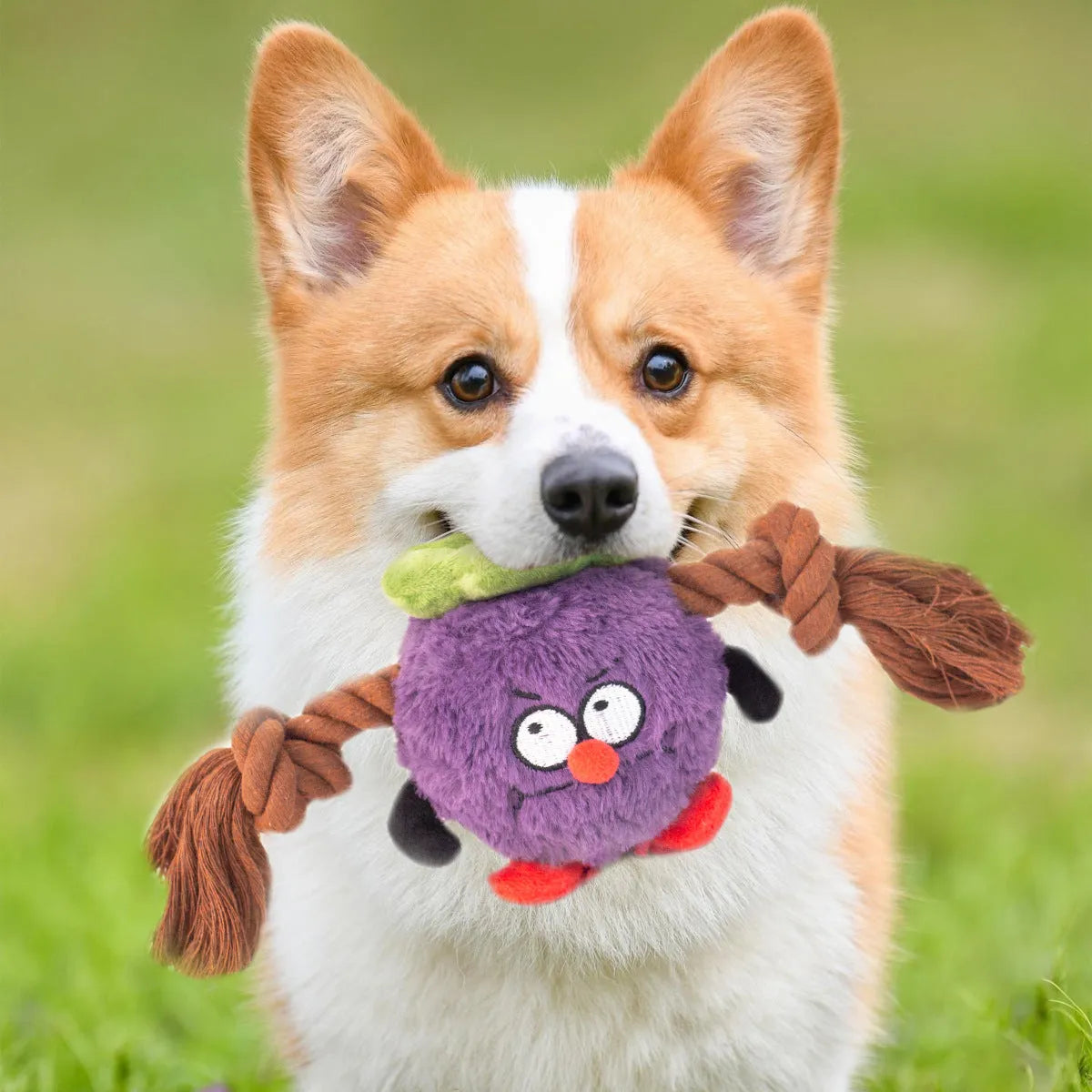 Green interactive dog toy with plush rope knot and white molar tooth chew element