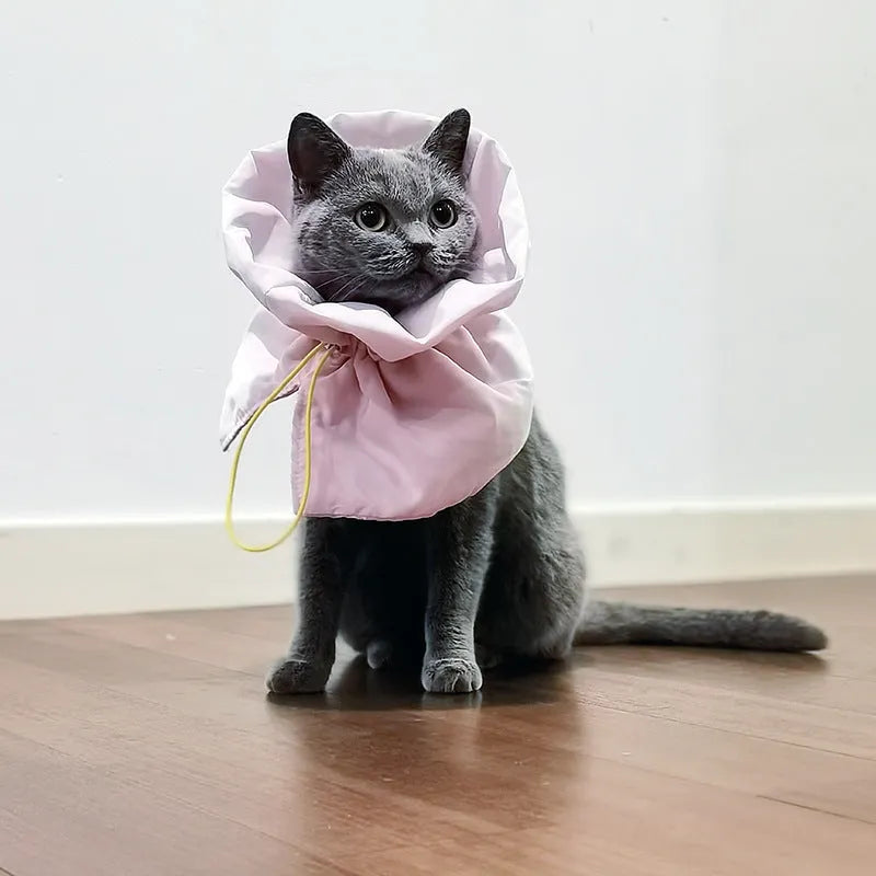Soft blue adjustable Elizabethan recovery collar for a cat on a plain background.