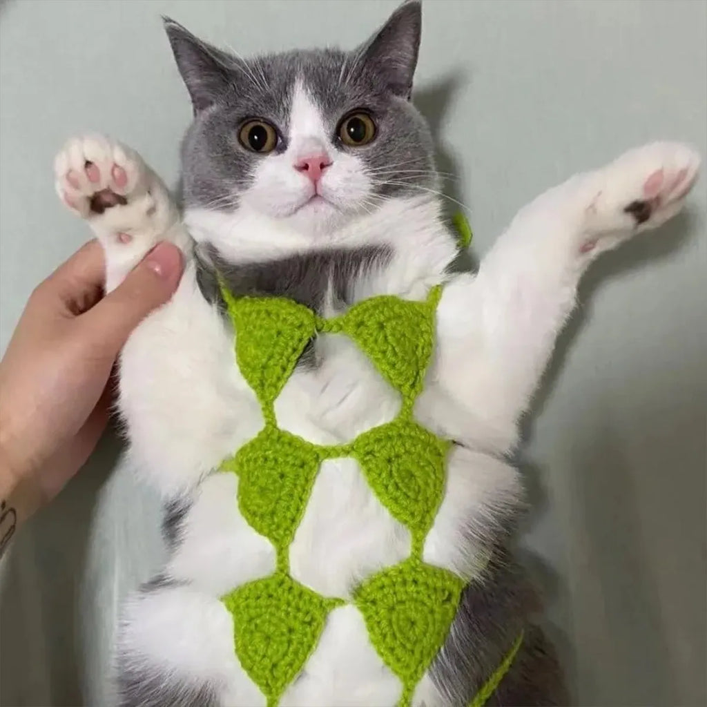 Cat wearing sweet-style bikini costume in multiple colour options for festive events