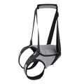 Grey neoprene dog rear leg recovery support belt showing sizing chart for S, M, L, and XL.