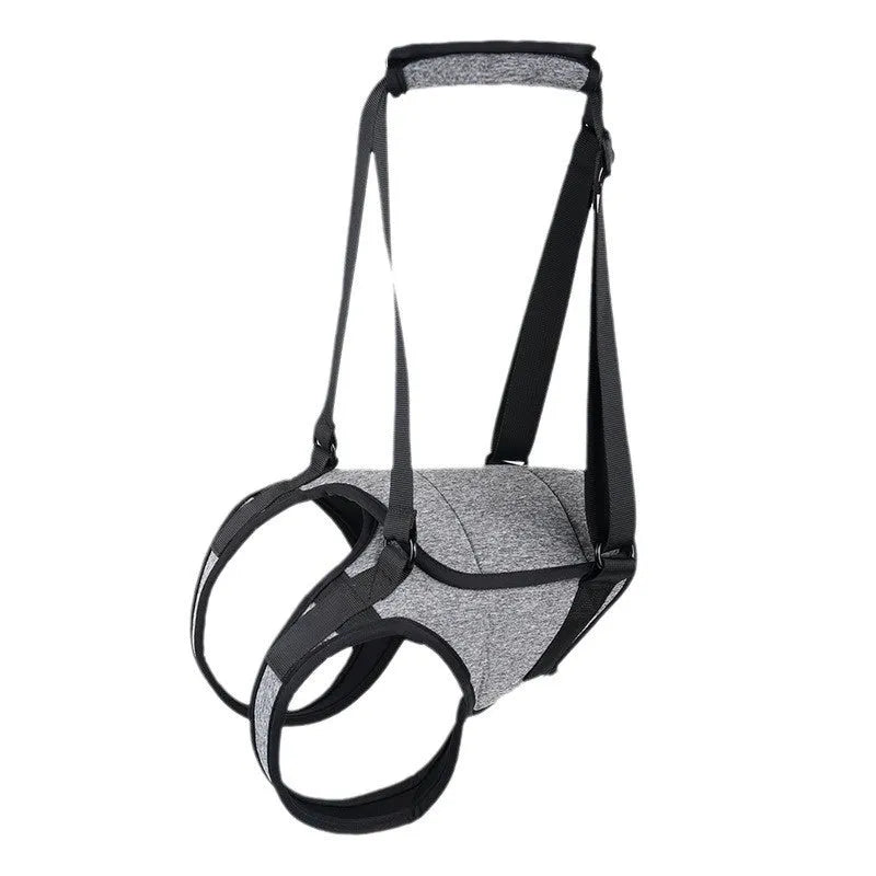 Grey neoprene dog rear leg recovery support belt showing sizing chart for S, M, L, and XL.