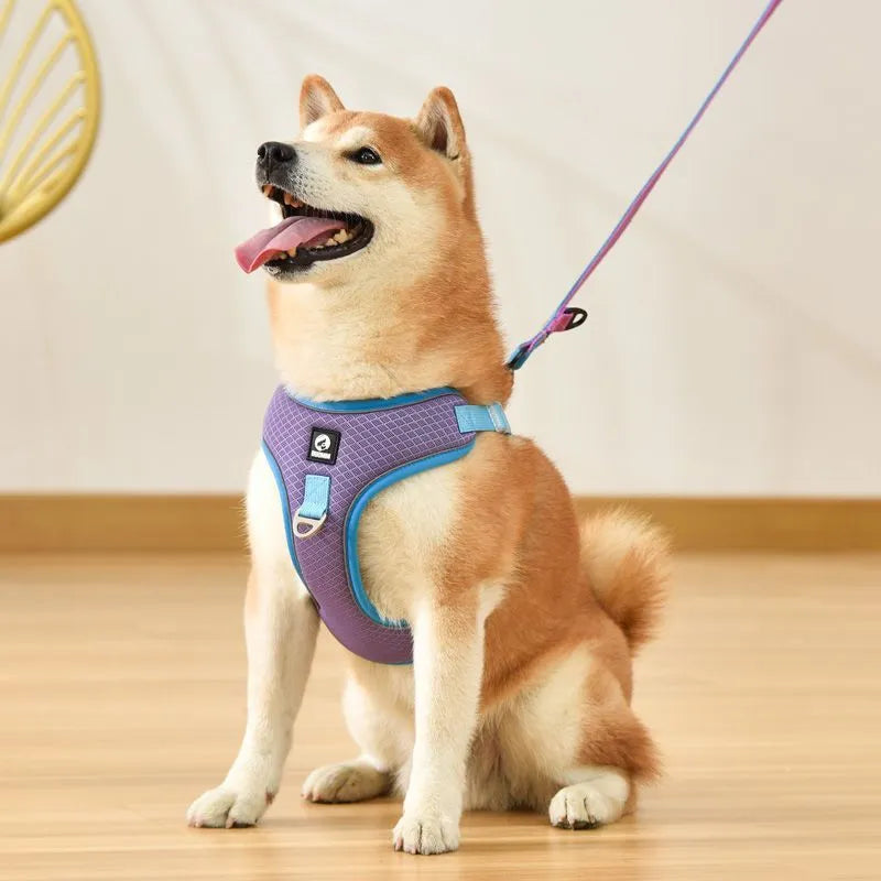 Adjustable breathable mesh dog harness with reflective trim in multiple colour options