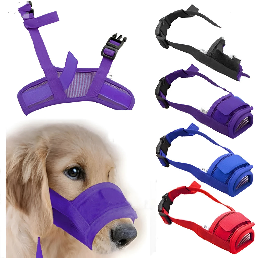 Adjustable plastic dog muzzle in assorted colours on a size chart showing measurements from 12cm to 34cm.