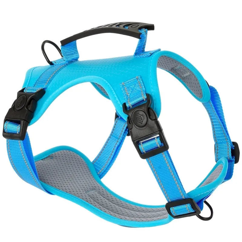 Adjustable polyester dog chest harness and lead in one of six colours: black, yellow, red, orange, pink, or Lake Blue.