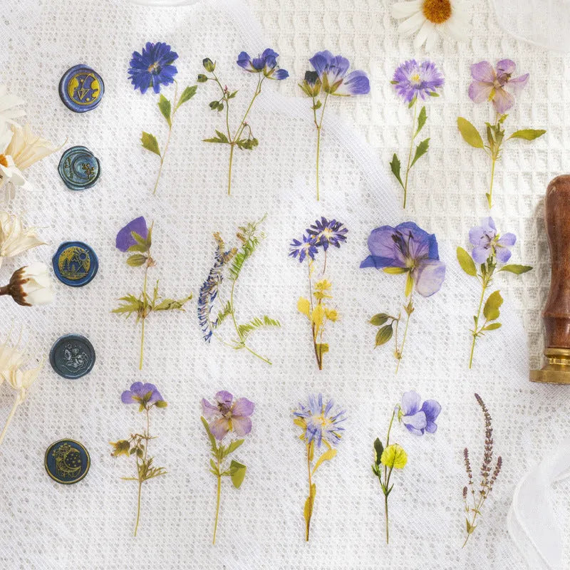 70mm square PET dried flower journal stickers showing eight colour themes including dark night purple and rose nebula