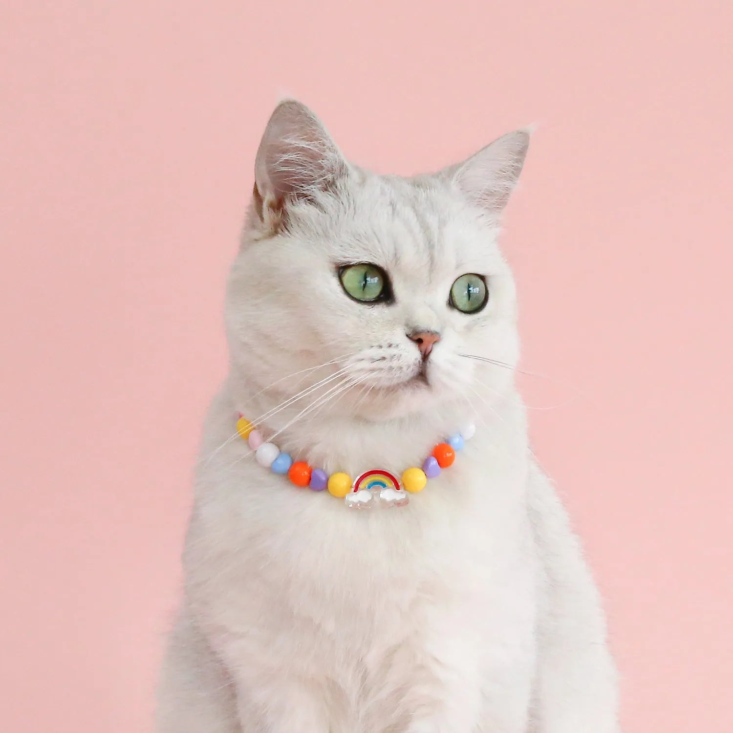 Colourful plastic bead pet necklace in peach, rainbow, or small flower patterns with adjustable sizing.