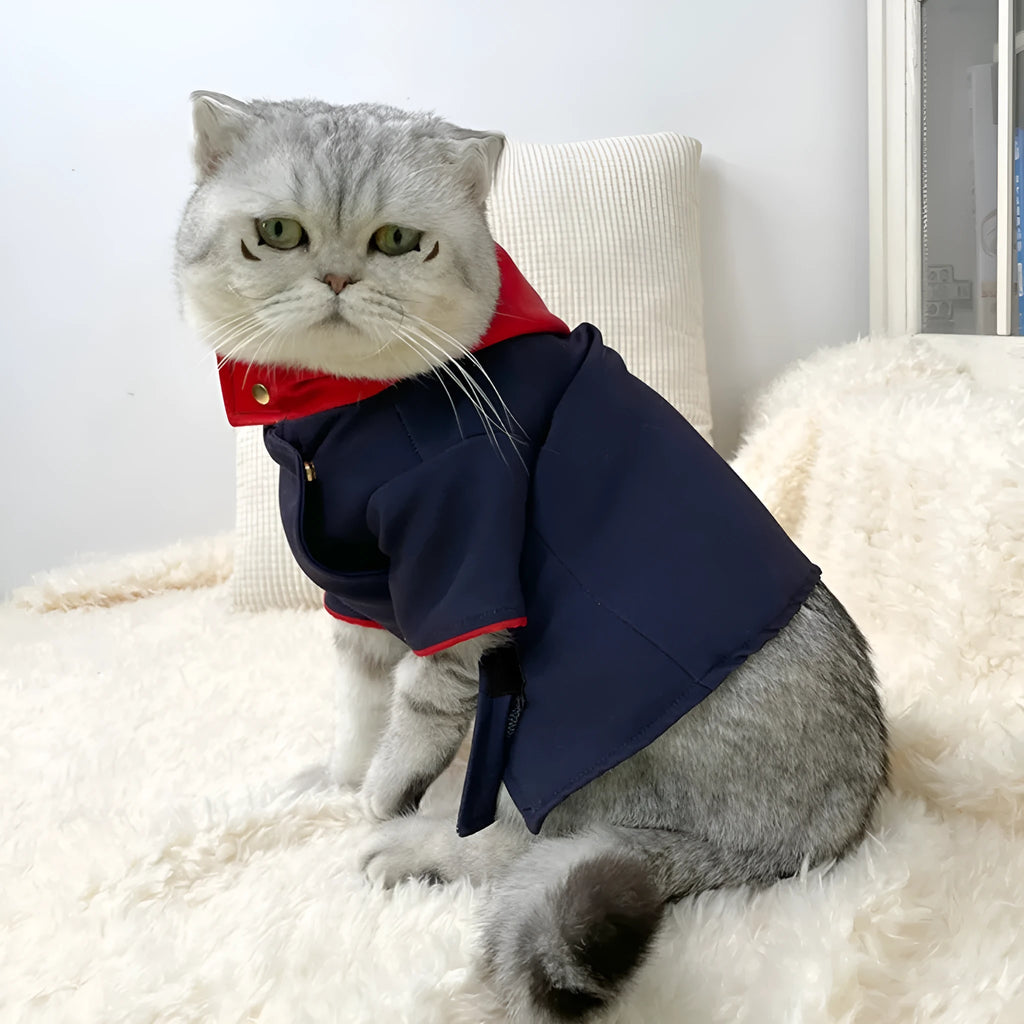 Cat and dog wearing hoodie costume for photography with adjustable sizing