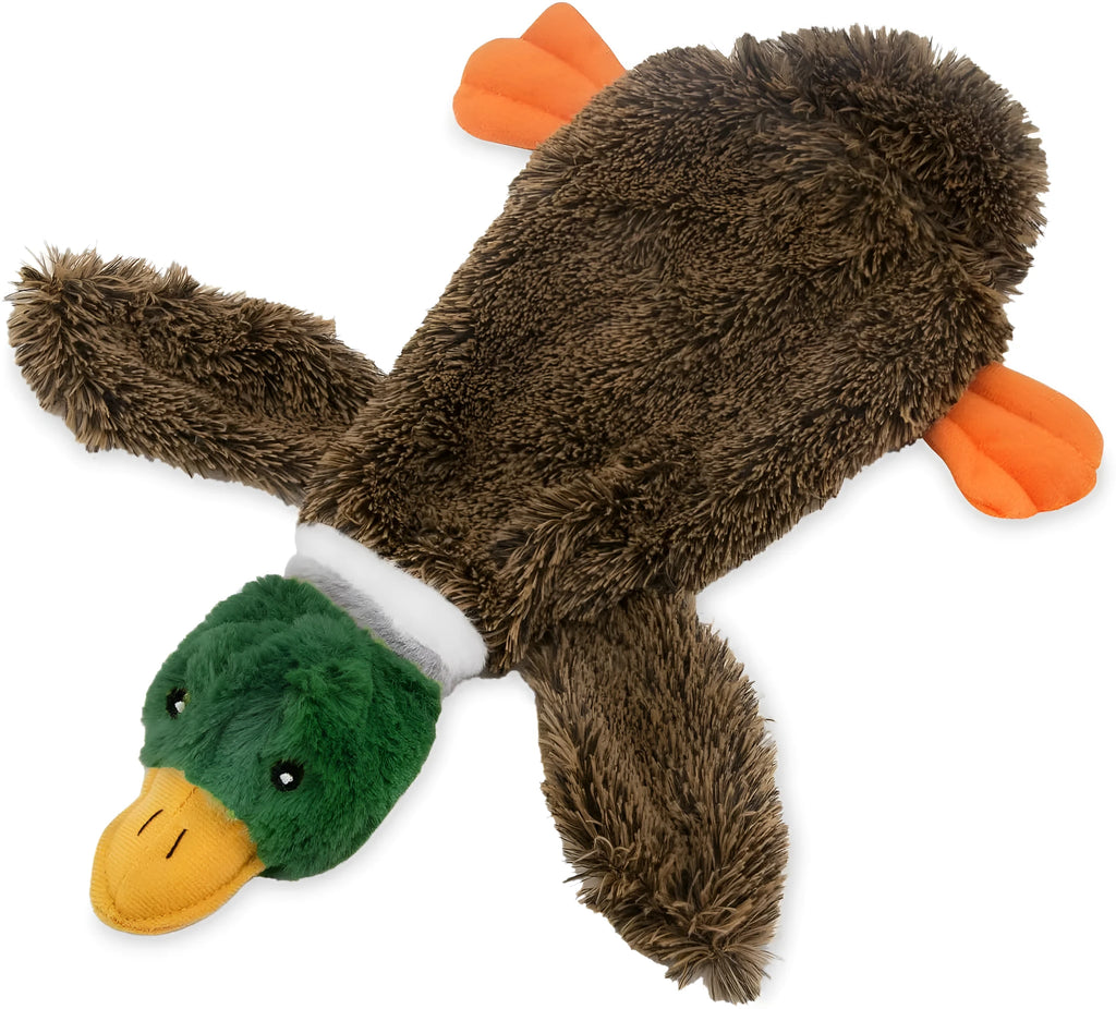 Green wild duck stuffless dog toy with squeakers and bottom opening for bottle insertion
