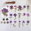 70mm square PET dried flower journal stickers showing eight colour themes including dark night purple and rose nebula
