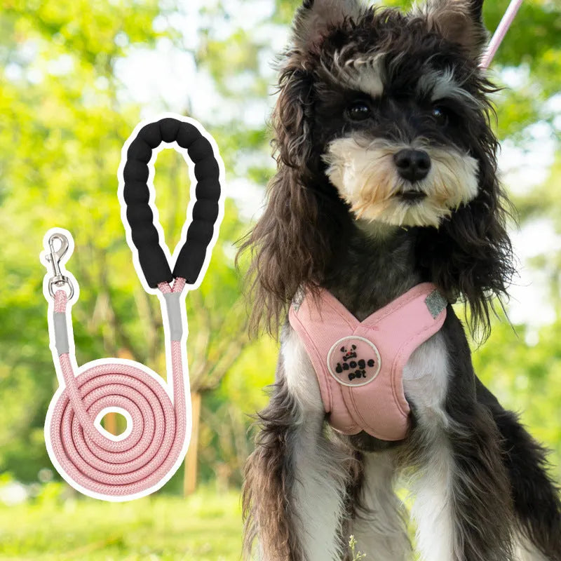 Dog wearing blue vest with attached hand holding rope leash for walking control
