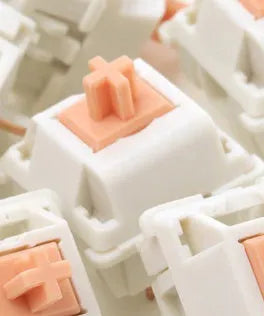 Panda linear mechanical keyboard switch with clear housing showing internal components