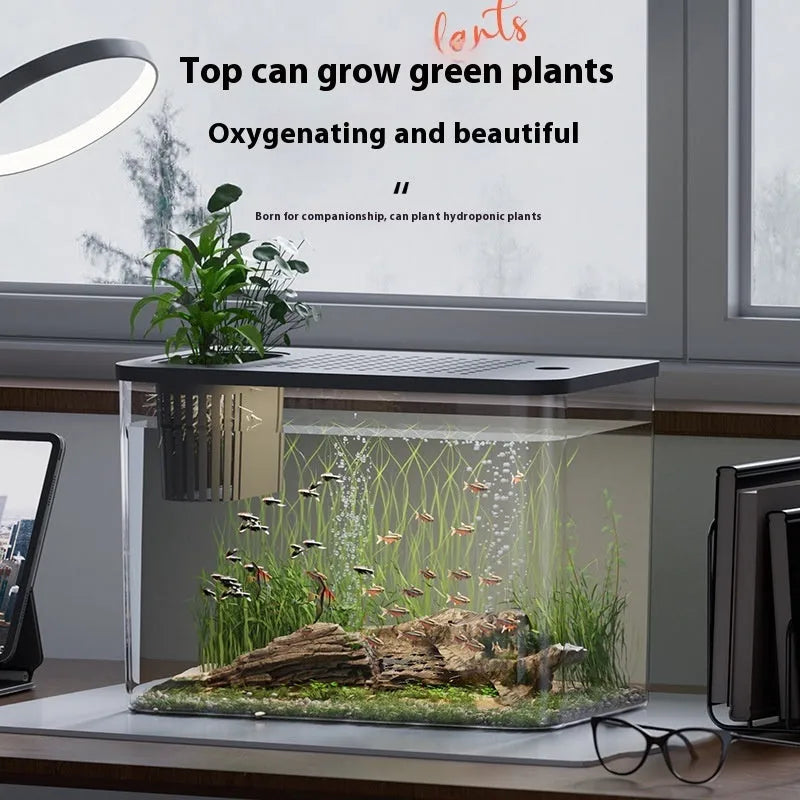 Black and white plastic betta fish tank with cover measuring 32cm by 18.5cm by 23cm