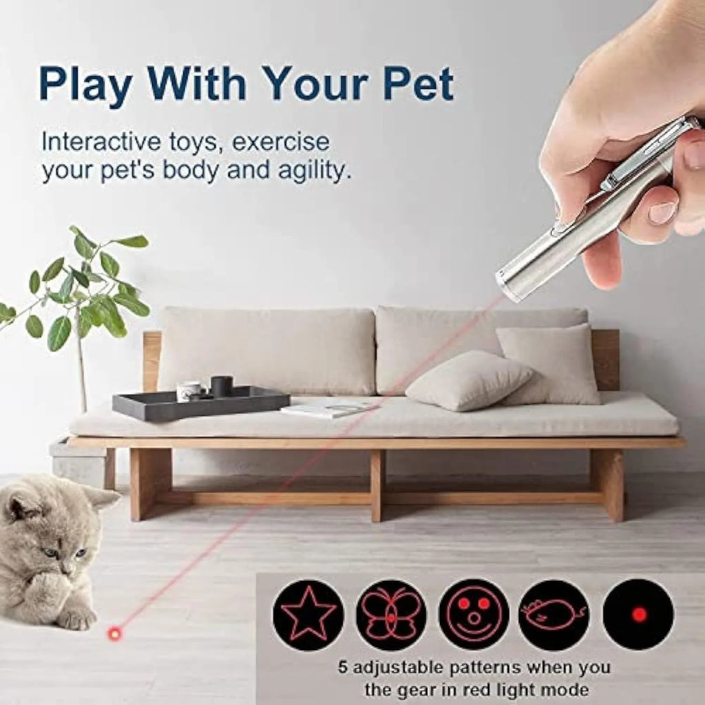 Silver aluminium USB rechargeable cat laser pointer toy with multiple light patterns.