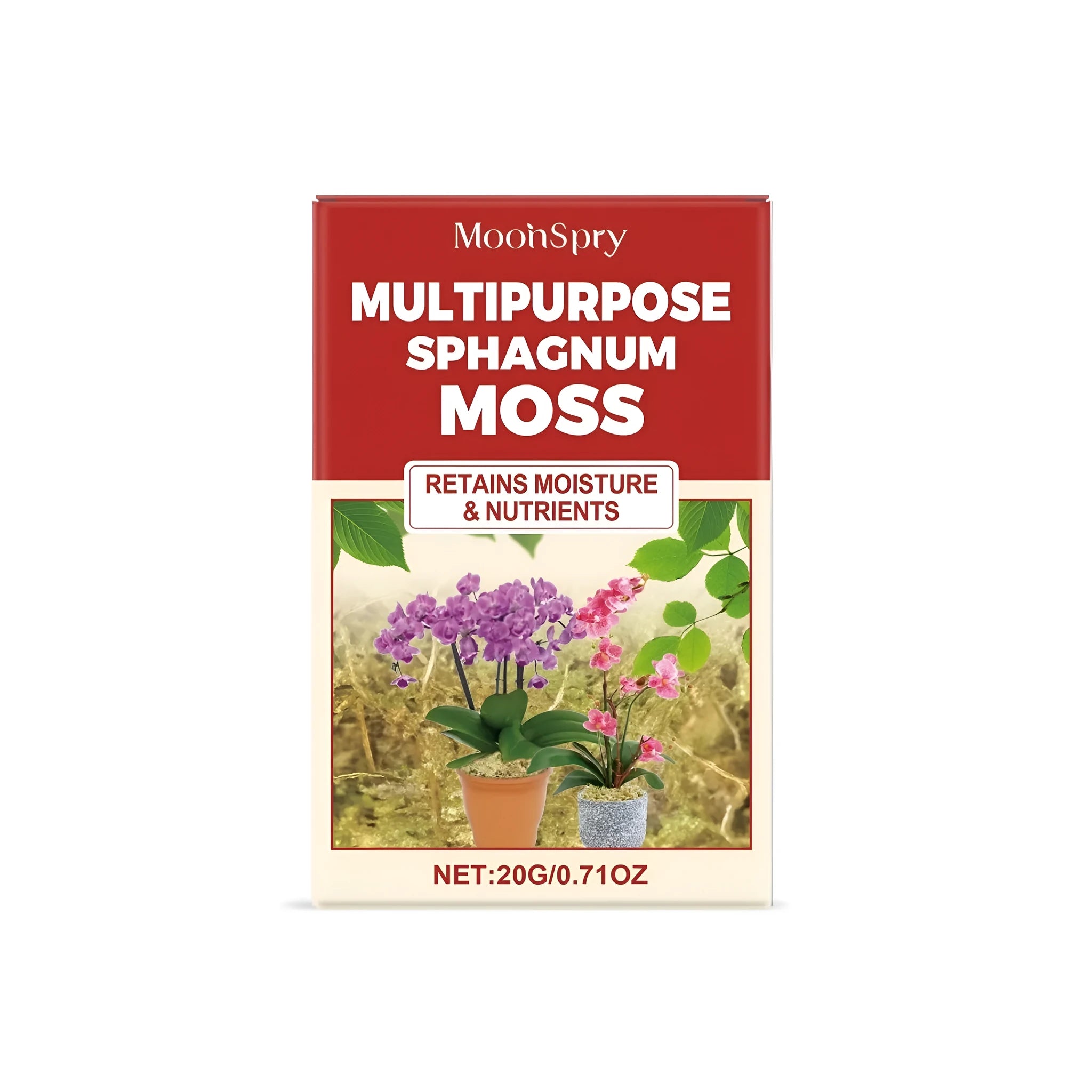 Bag of loose, natural sphagnum moss for terrarium and plant use.