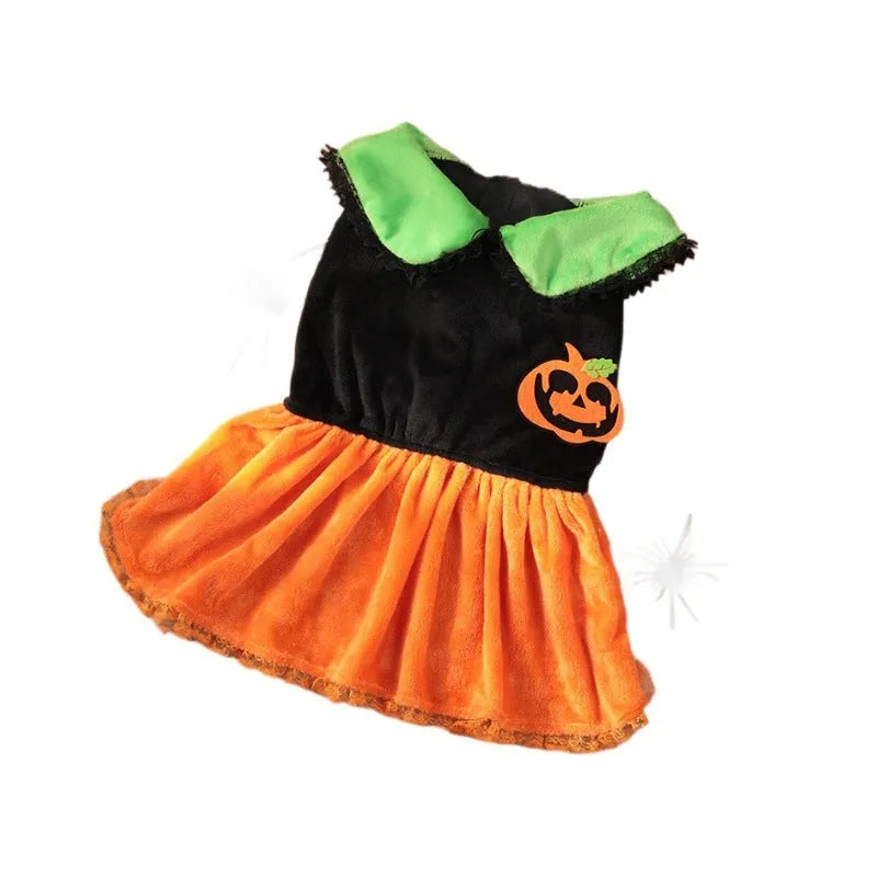 Halloween pet costume showing pumpkin skirt and sweater designs in crystal velvet for dogs and cats