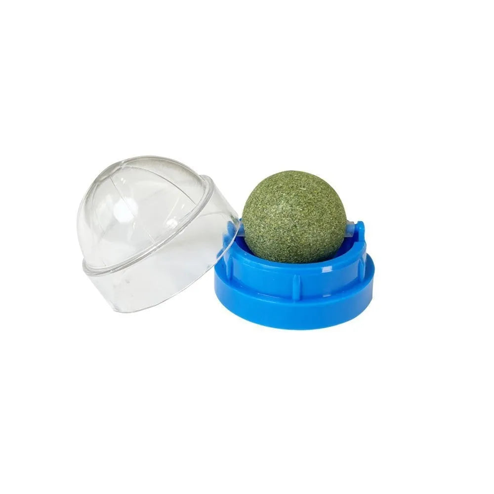 Plastic catnip ball toy in multiple colours for dental cleaning and stress relief