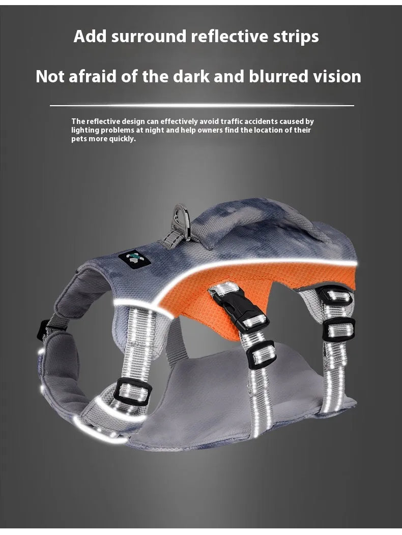 Reflective light blue polyester cooling vest and chest strap harness for a dog on a summer walk.
