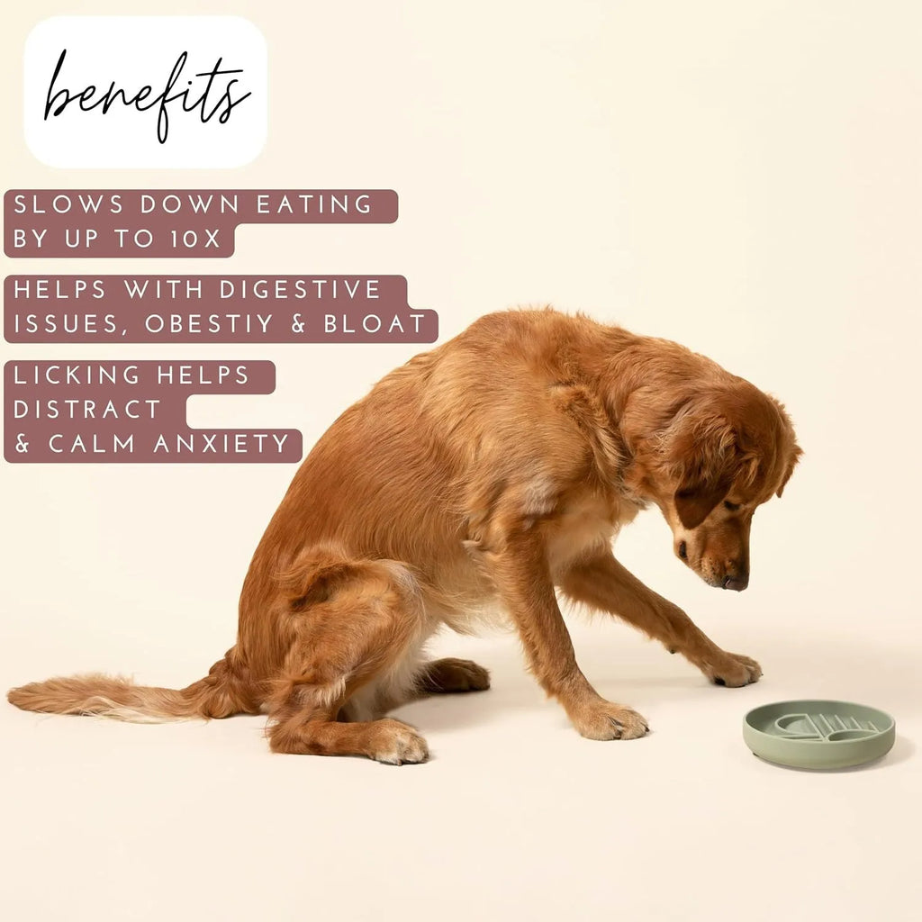 Slowdown Bowl silicone slow feeder dog bowl with ridge design in beige colour