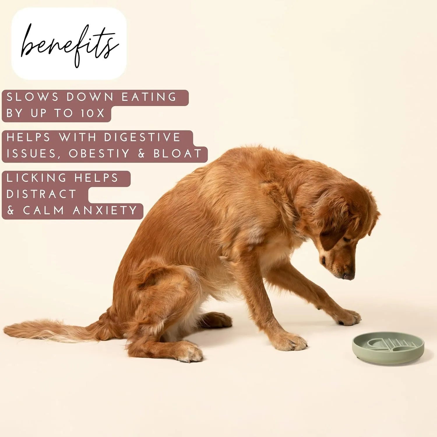 Slowdown Bowl silicone slow feeder dog bowl with ridge design in beige colour