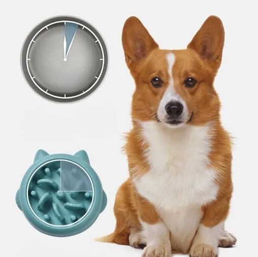 Green slow feeder dog bowl with maze ridge pattern for anti-gulping feeding