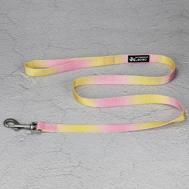 Gradient colour dog leash set showing pink and blue nylon collar and chest strap harness options