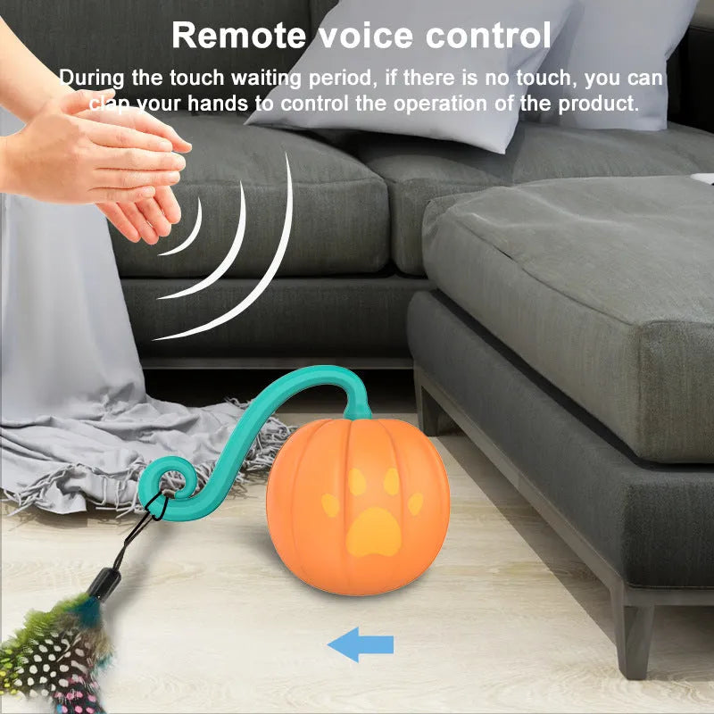 Electric cat toy ball with motion sensor and light up function in watermelon design