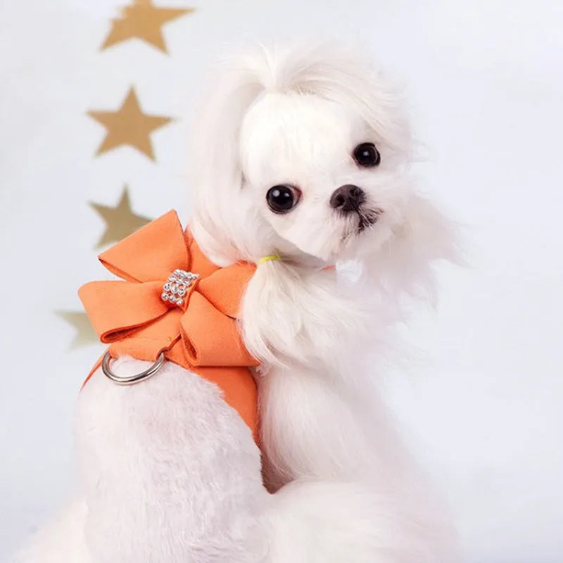Dog wearing microfiber chest strap with decorative bow knot in blue colour