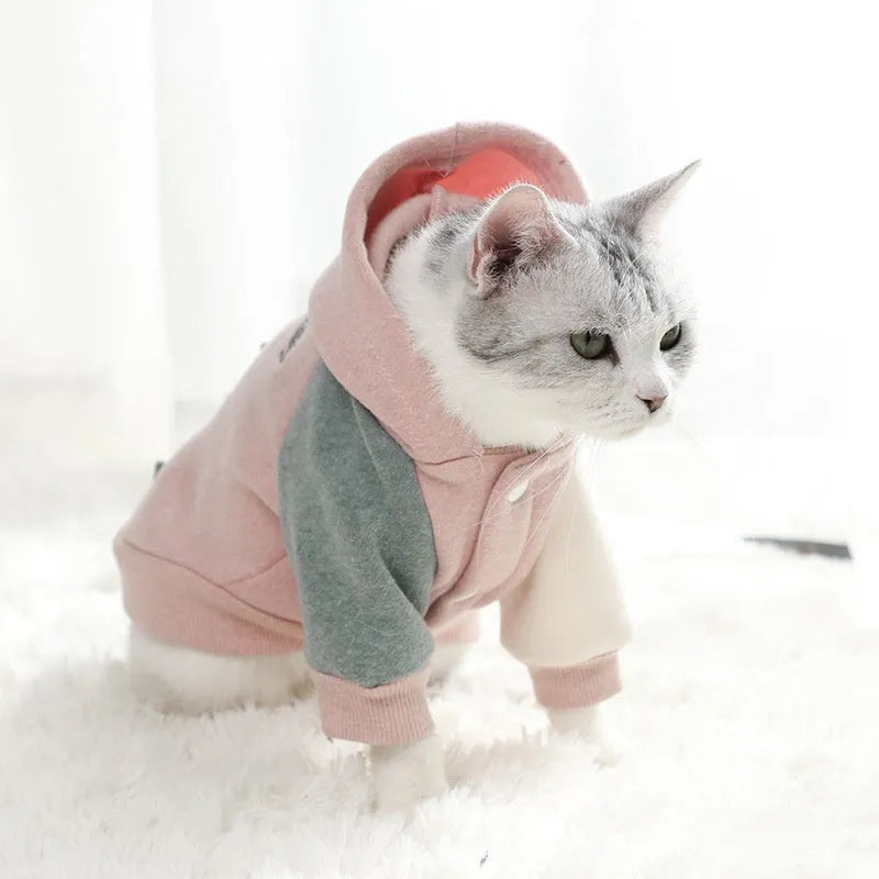 Brown cotton dog sweatshirt shown on a medium-sized dog with casual leisure styling