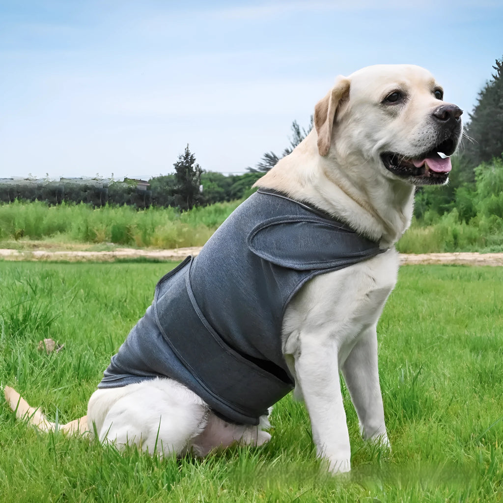 Brown brocade cotton dog anxiety tank top on a model dog, showing the casual tank top style.