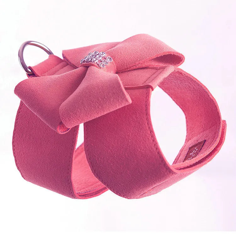 Dog wearing microfiber chest strap with decorative bow knot in blue colour