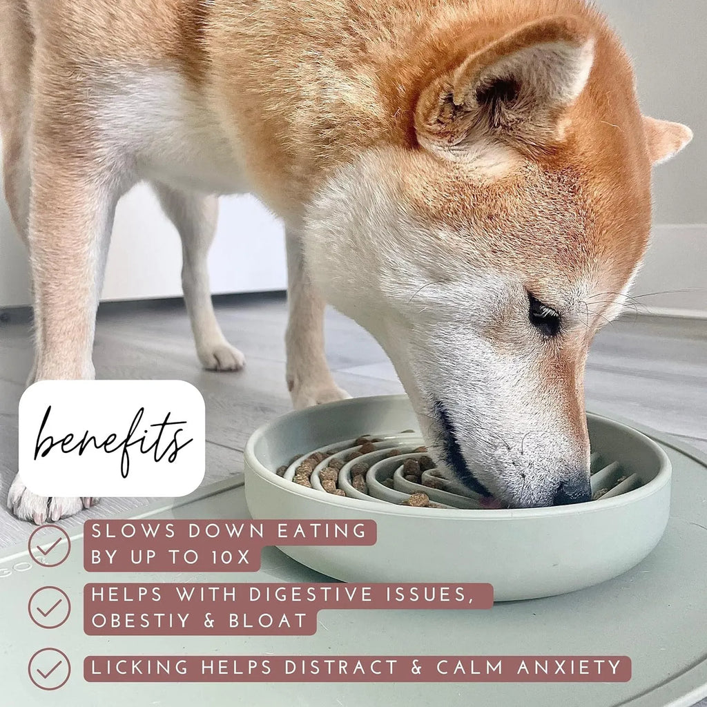 Slowdown Bowl silicone slow feeder dog bowl with ridge design in beige colour