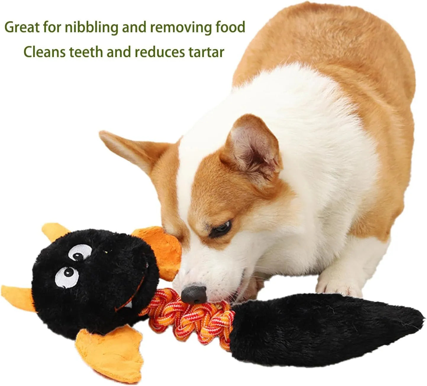 Soft plush dog toy with squeaker, rattle, and rope knot in black, green, or red.