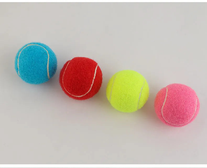 Rubber dog tennis ball in assorted bright colours with 6.3cm diameter for bite-resistant fetch play