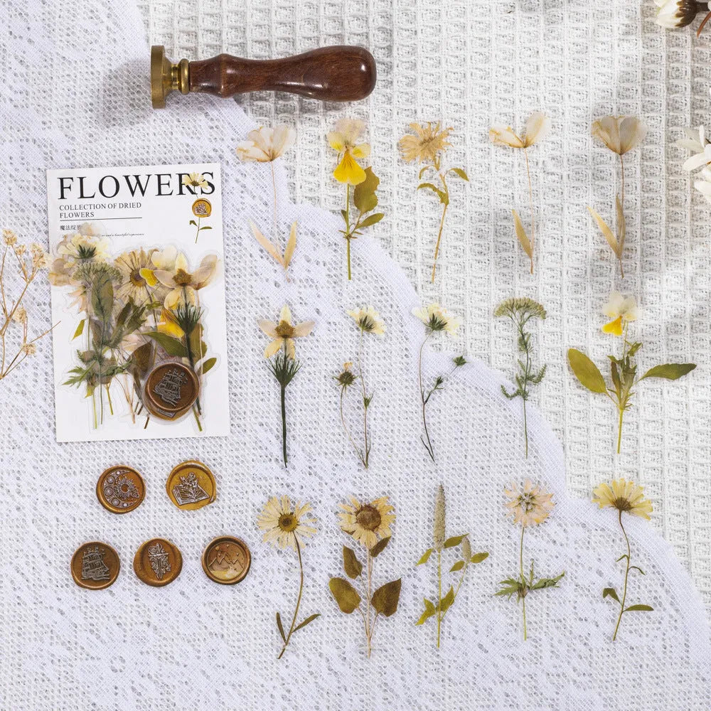 70mm square PET dried flower journal stickers showing eight colour themes including dark night purple and rose nebula